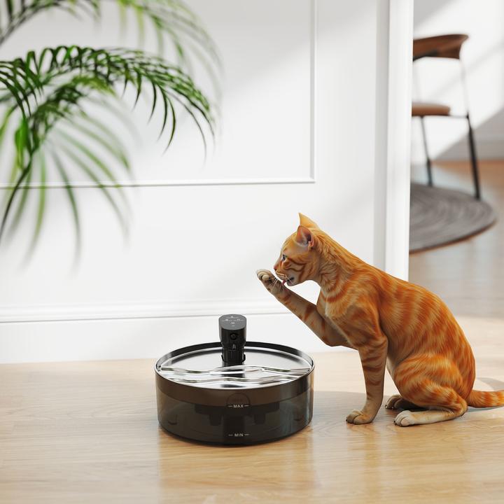 Actual product image PawHut Katzenbrunnen (7 l)
