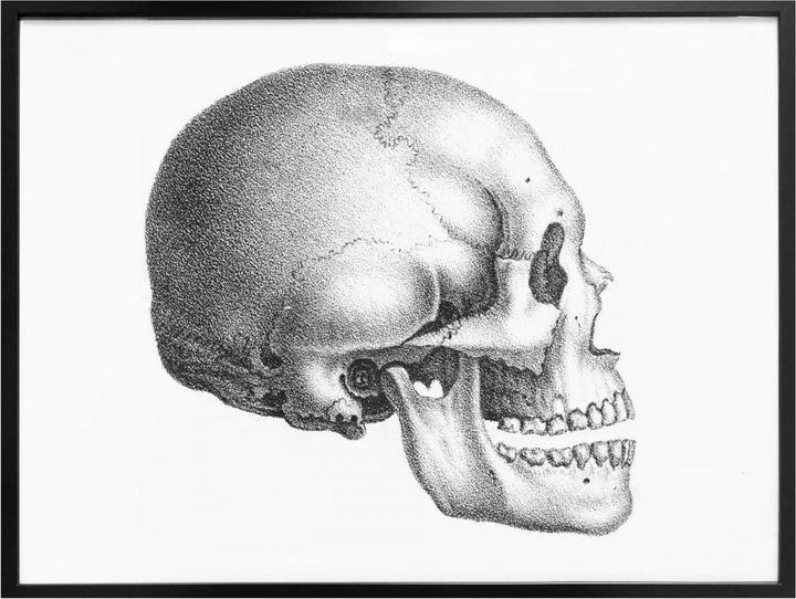 Actual product image Trenddeko Skull 01 (50 x 40 cm)