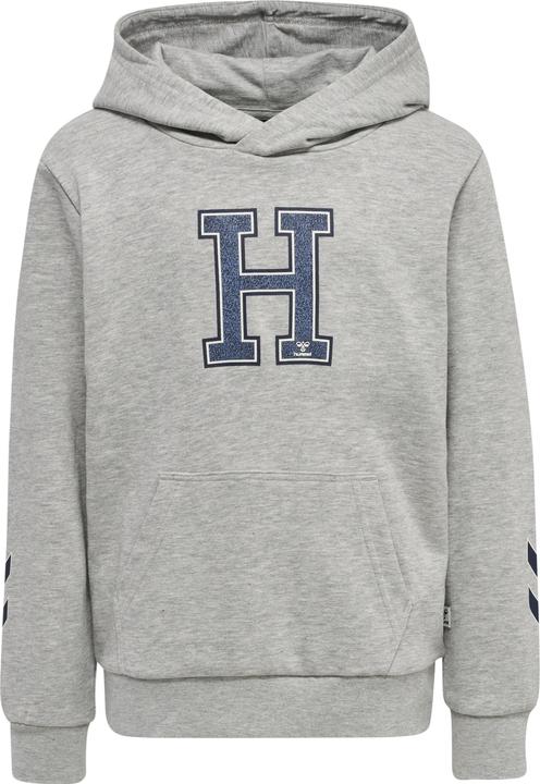Produktbild hummel Geography Hoodie (152)