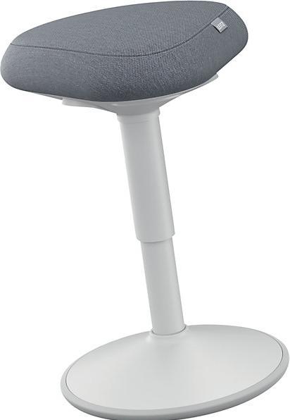 Actual product image Leitz Ergo Active
