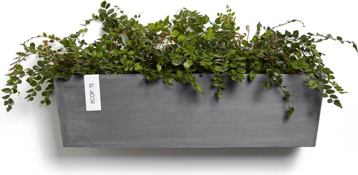 Produktbild Ecopots Manhattan Wall L (55 x 17.20 x 15.30 cm)