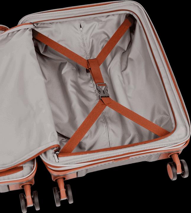 Actual product image Swissbags New Vision (51 l)