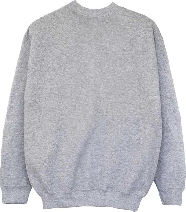 Actual product image Blue Beetle Mens Glowing Beetle Sweatshirt (M)