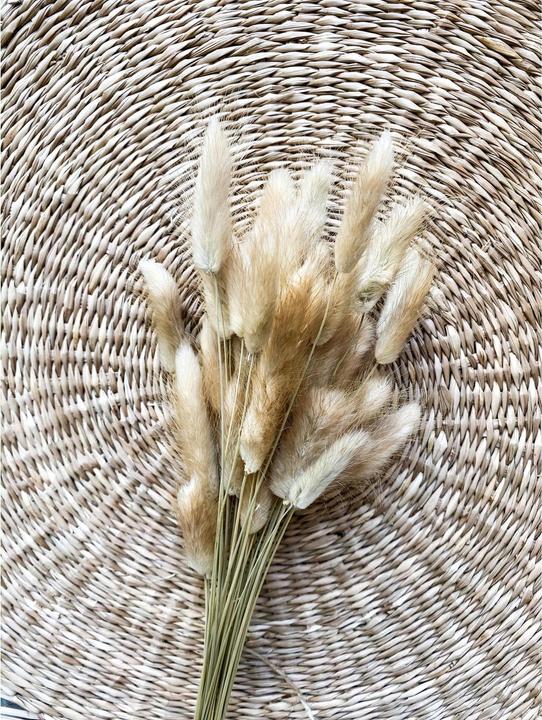 Image du produit Soli Collection Fleurs séchées Lagurus (Fleurs séchées)