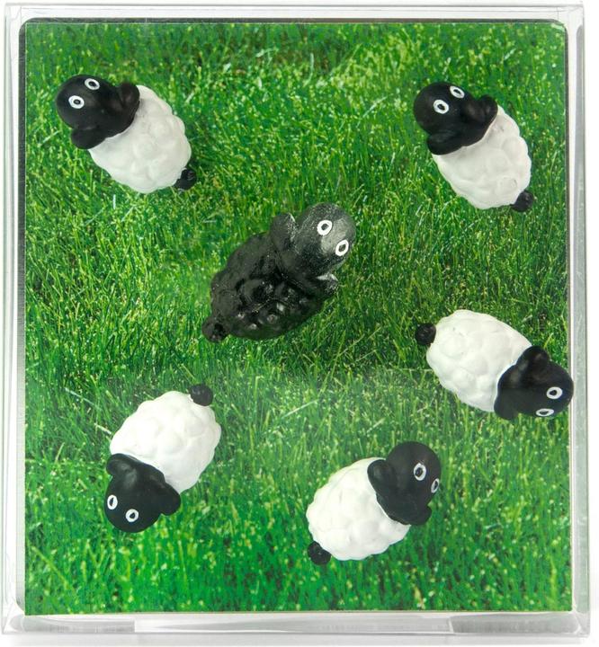 Image du produit Trendform Moutons (6 x)