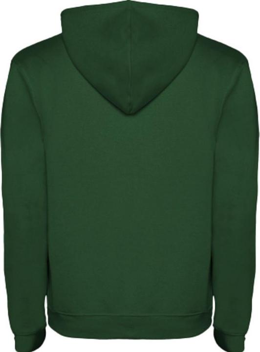 Produktbild Alpinia Urban Kapuzenpullover (L)