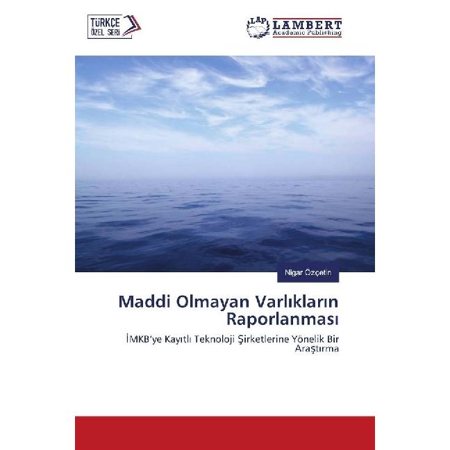Maddi Olmayan Varliklarin Raporlanmasi, Fachbücher von Nigar Özçetin