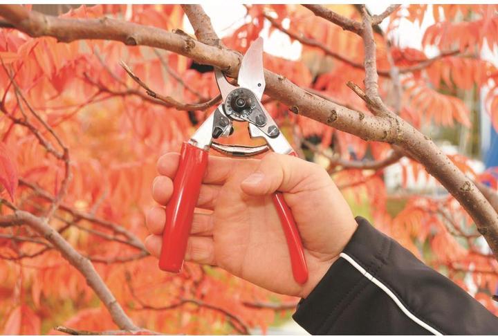 Productafbeelding Felco Tuinschaar 12