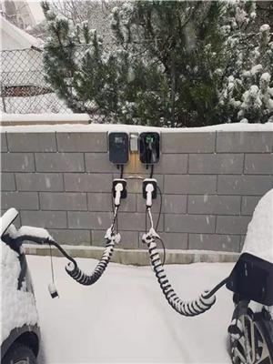 Immagine prodotto EB Troller Cavo di ricarica per auto elettriche 10m 3L 22kW 32A (Tipo 2, 22 kW, 32 A, 10 m)