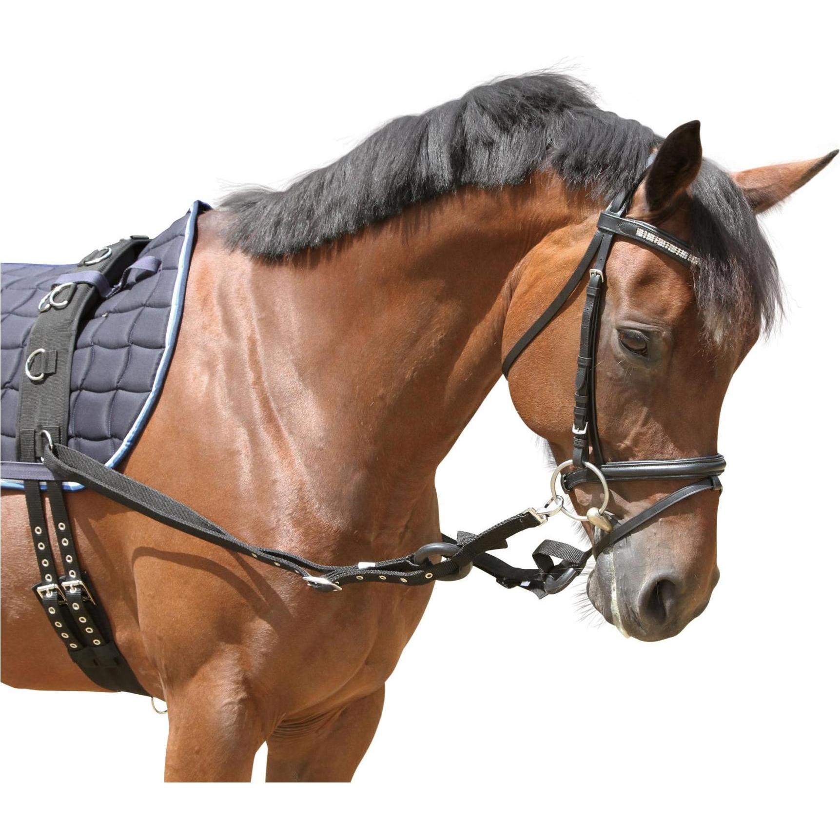 Kerbl Ausbindezügel (323599)