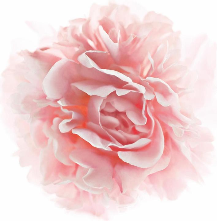 Immagine prodotto L'Oréal Paris Age Re-Perfect Pro-Calcium (50 ml, Crema da giorno)