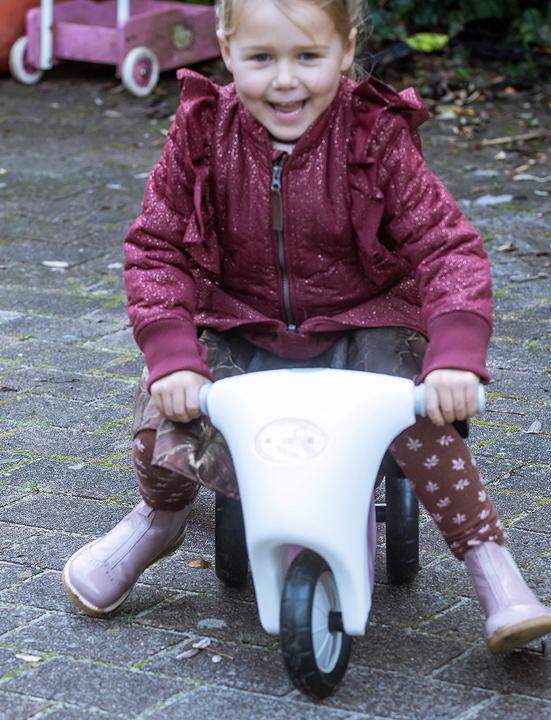 Image du produit dantoy Scooter rose