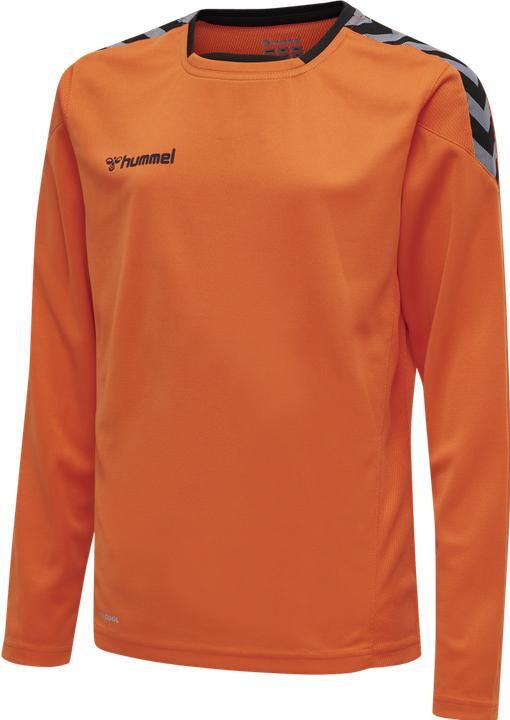 Produktbild hummel Authentic Kids Poly Jersey L/S (176)