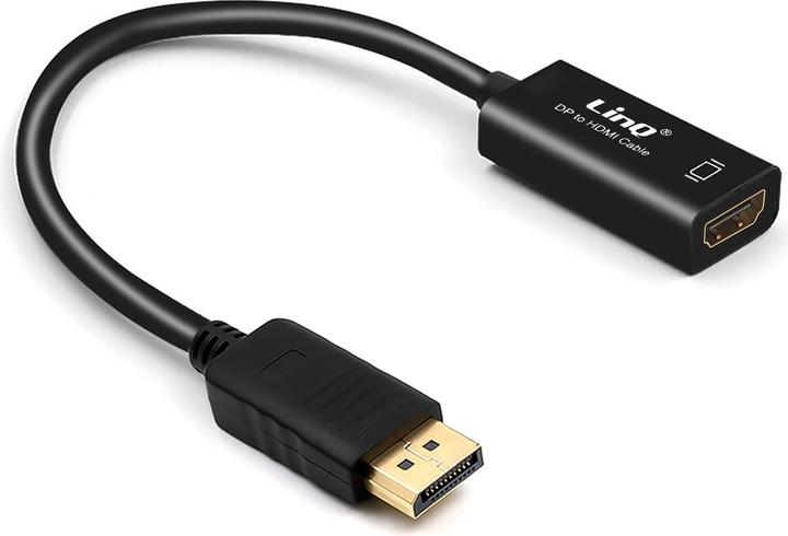 Image du produit LinQ Adaptateur de port DisplayPort / HDMI / câble vidéo, 23cm de câble, - Noir (HDMI, 15 cm)