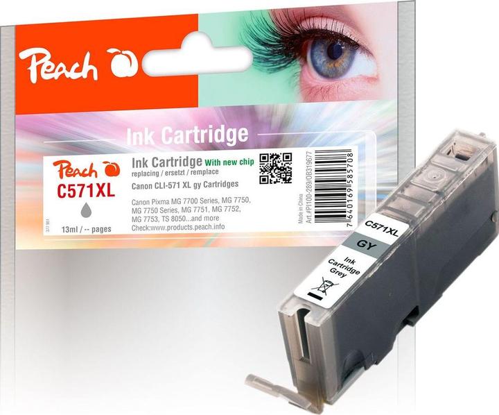 Actual product image Peach Cli-571gy XL (GY)