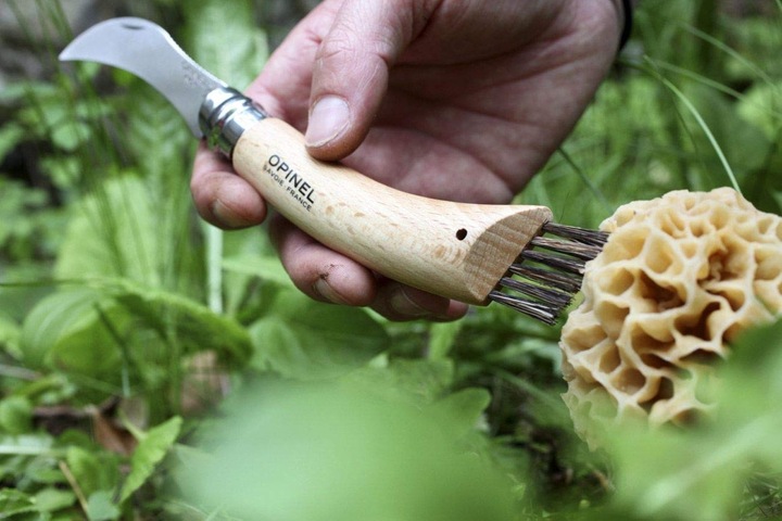 Actual product image Opinel Mushroom Knife (8 cm)