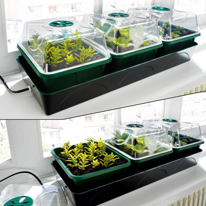 Productafbeelding Bio Green Groeistation Set