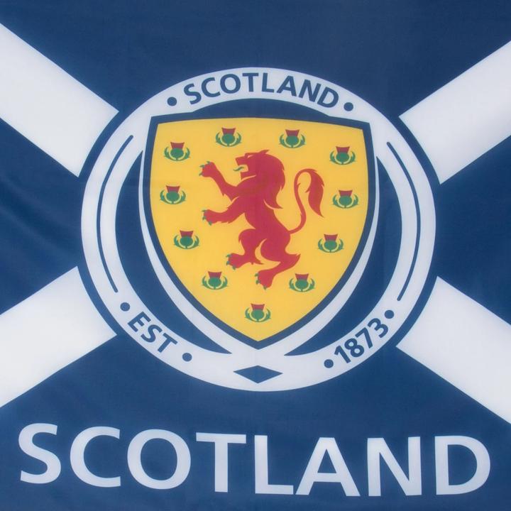 Actual product image Scottish FA Crest Flag