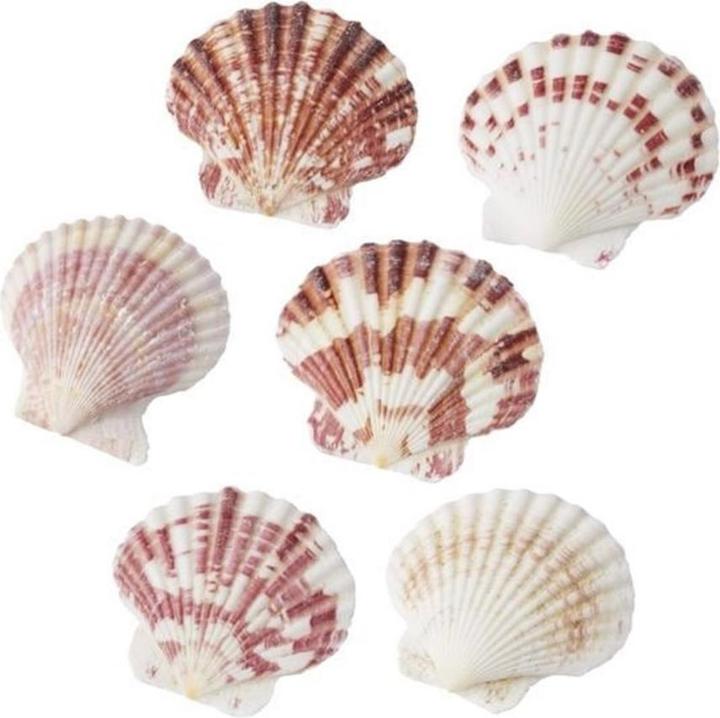 Decorazioni da festa