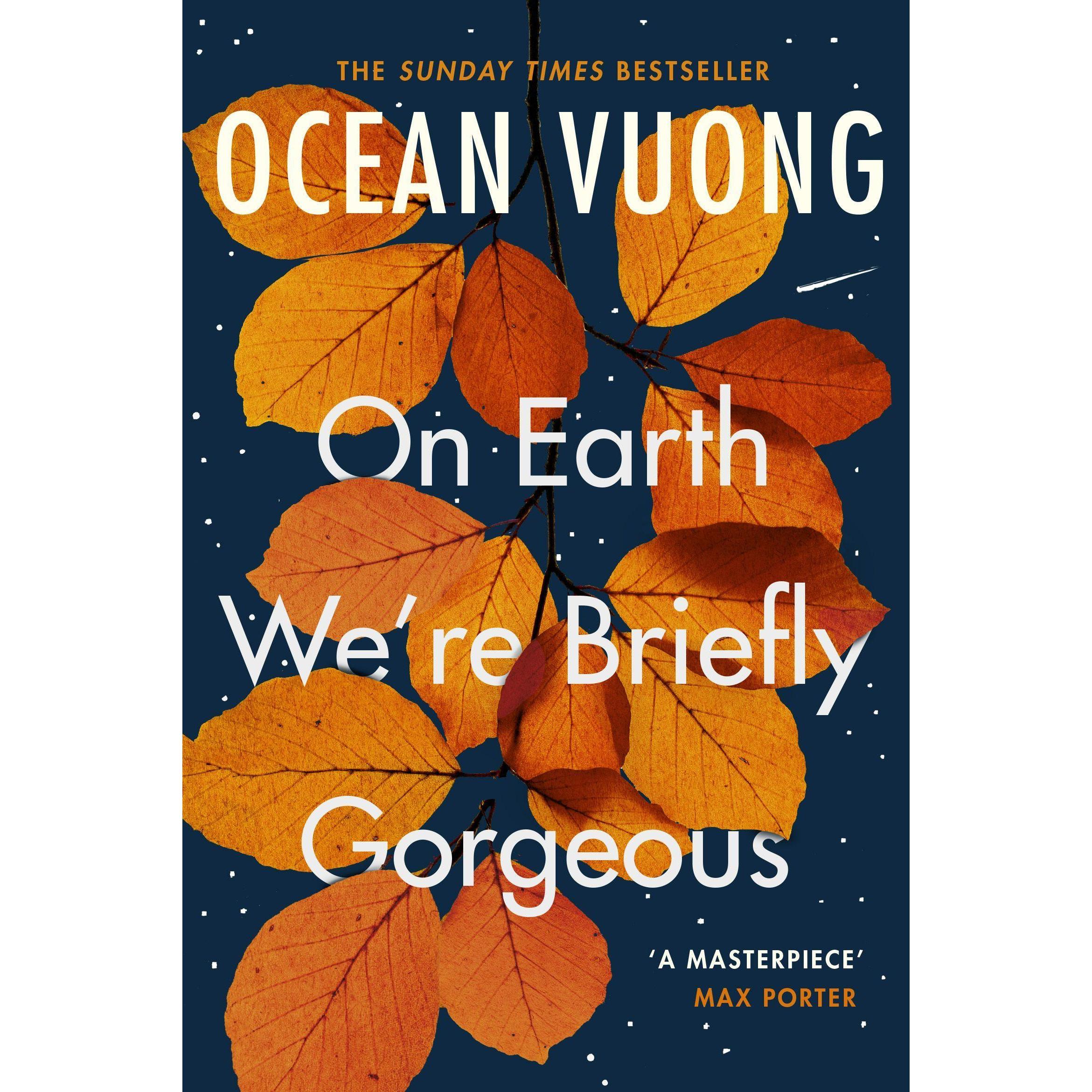 On Earth We're Briefly Gorgeous, Belletristik von Vuong Ocean
