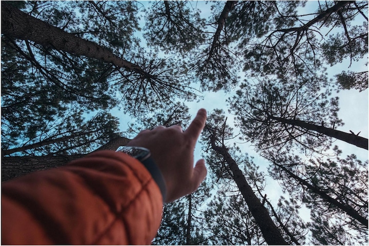 Productafbeelding Samyang AF 12mm f/2 Fujifilm X (Fujifilm X, APS-C / DX)