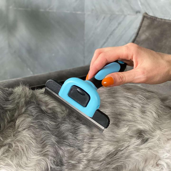 Actual product image Intirilife Animal hair brush (Dog, Cat)