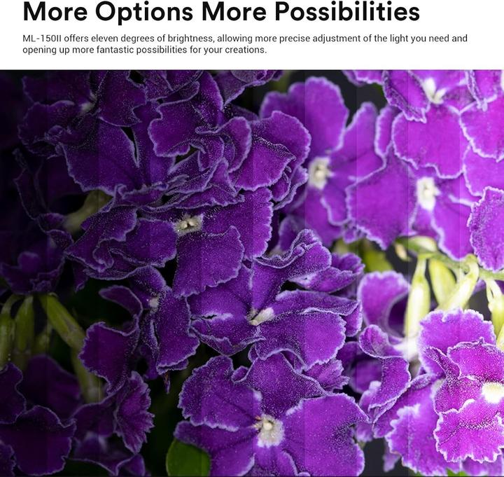 Productafbeelding Godox ML150II Macro Ringflitser (Macroflitser, Canon, Sony, Nikon, Pentax, Olympus, Fuji, Leica)