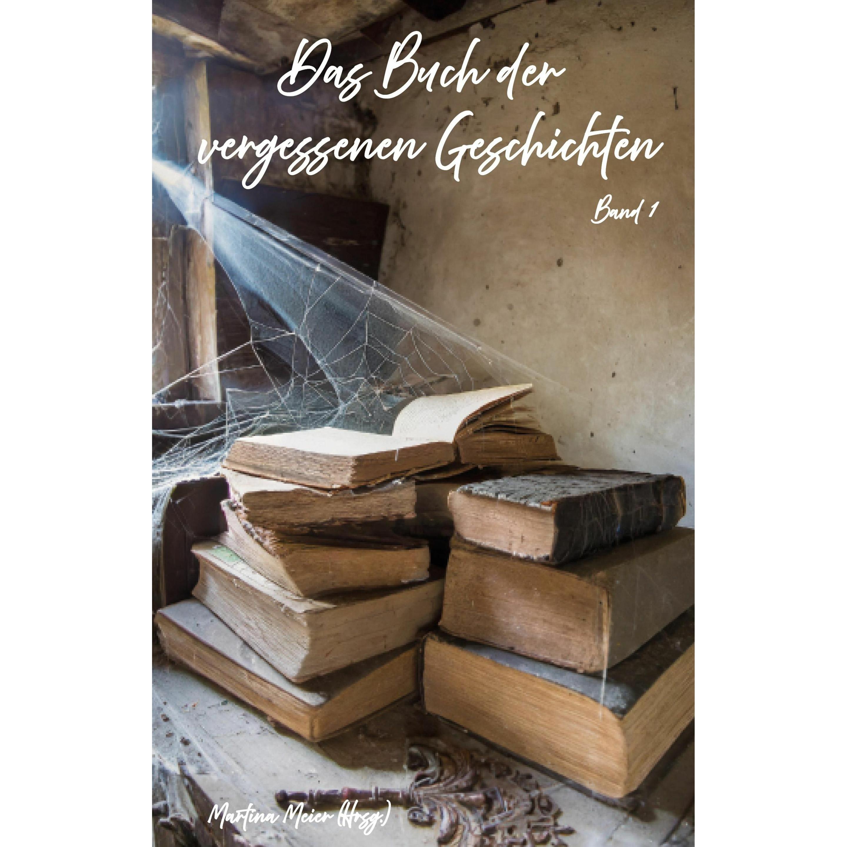 Das Buch der vergessenen Geschichten, Belletristik von Martina Meier