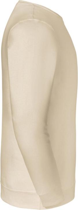 Produktbild Jerzees Eco Premium Sweatshirt (M)