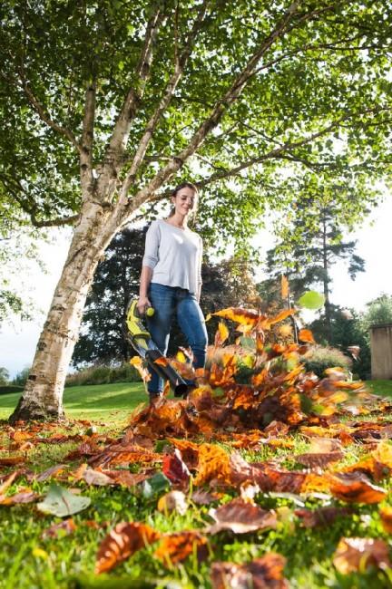 Actual product image Ryobi OBL18JB One+ (Rechargeable battery operated, Leaf blower)