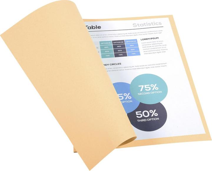 Actual product image Exacompta File cover (A4, 100 x)