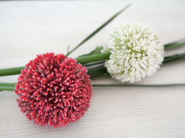 Actual product image Europalms Allium branch (55 cm)
