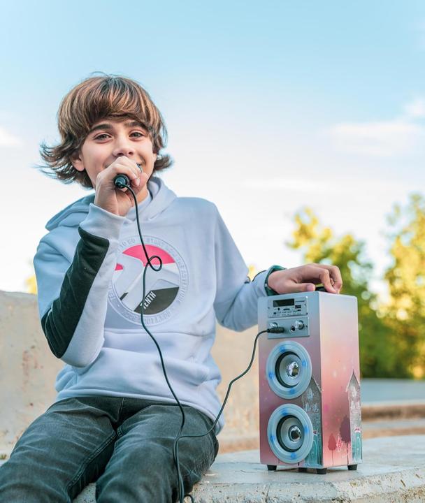 Actual product image Dynasonic Tragbare Karaoke-Maschine mit 2 Mikrofonen