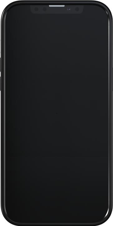 Produktbild Richmond & Finch Amber Cheetah (Apple iPhone 13 Pro Max)