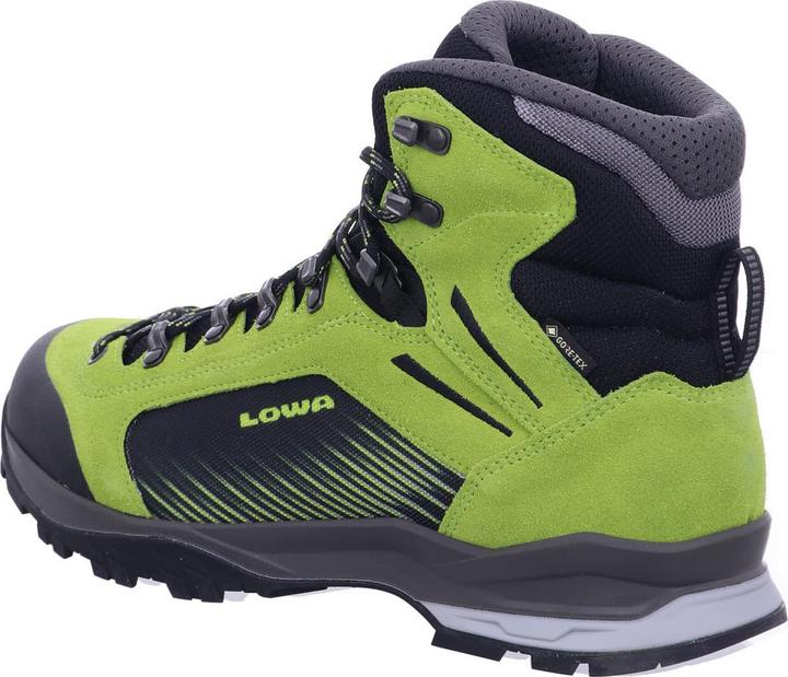 Produktbild Lowa Vigo GTX (41)