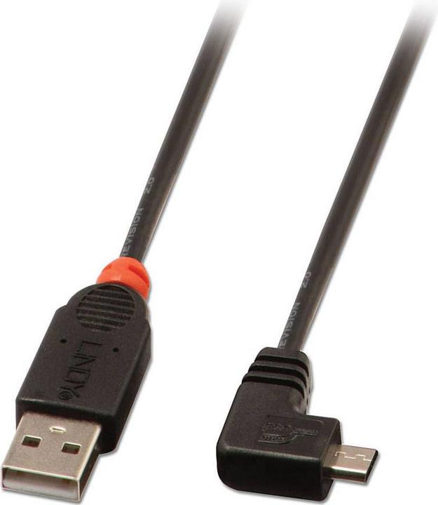 Actual product image Lindy USB cables (0.50 m, USB 2.0)