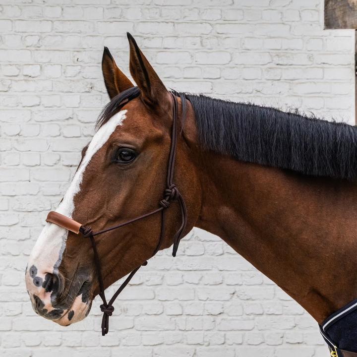 Immagine prodotto Kentucky Horsewear Cavezza in corda