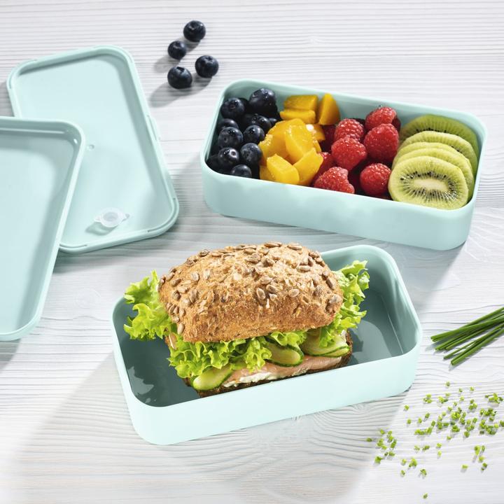 Actual product image Xavax Lunchboxes