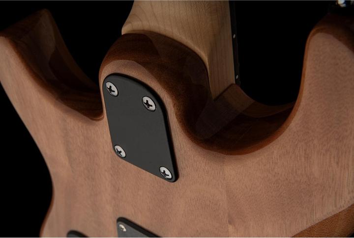 Produktbild PRS SE CE 24 (E-Gitarre, Palisander, Mahagoni, Ahorn)