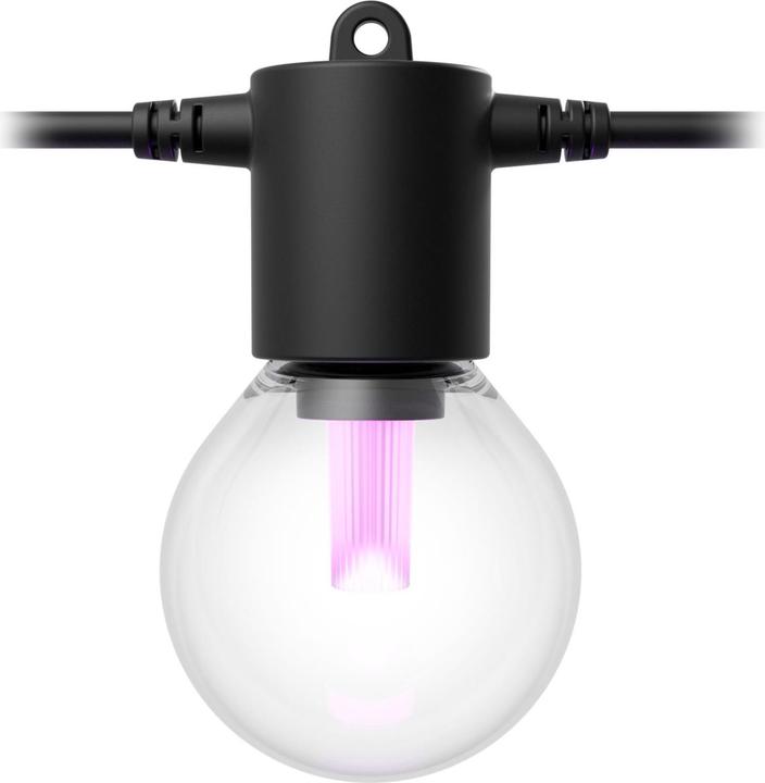 Image du produit Philips Hue White & Color Ambiance Festavia Globe (21 m)