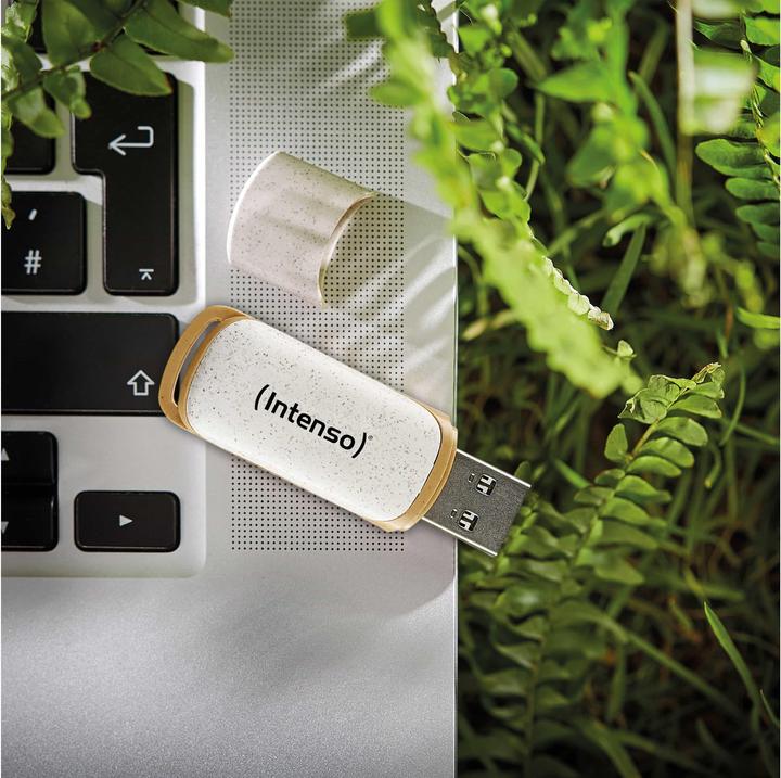 Produktbild Intenso Green Line (128 GB, USB-A)