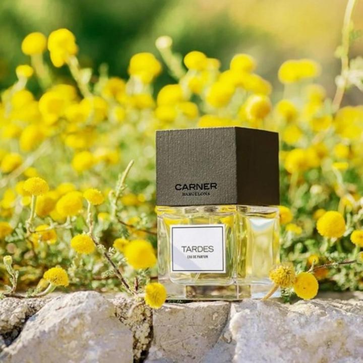 Immagine prodotto Carner Barcelona Raccolta legnosa Tardes (Eau de parfum, 100 ml)