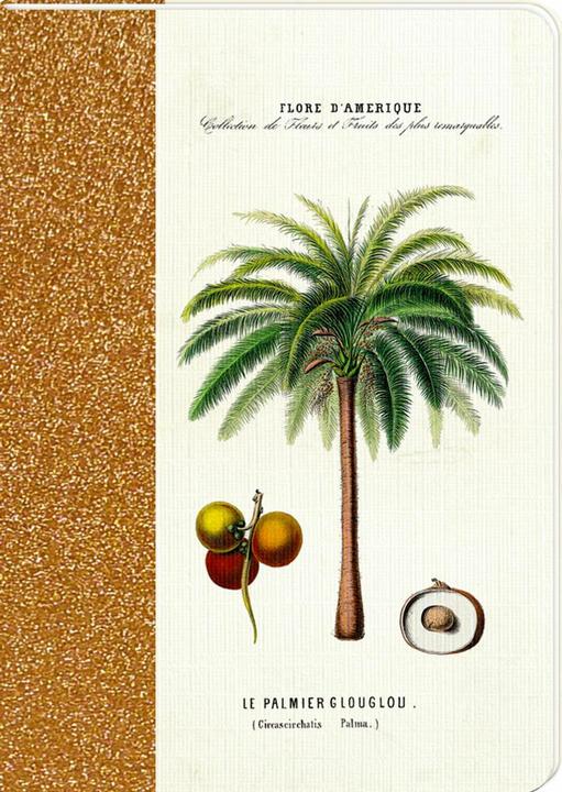 Produktbild Notizhefte DIN A6 Sammlung Augustina (A6)