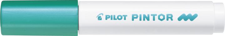 Actual product image Pilot Pintor Fine metallic
