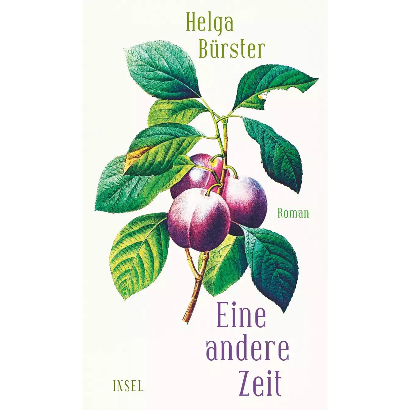 Eine andere Zeit, Belletristik von Helga Bürster