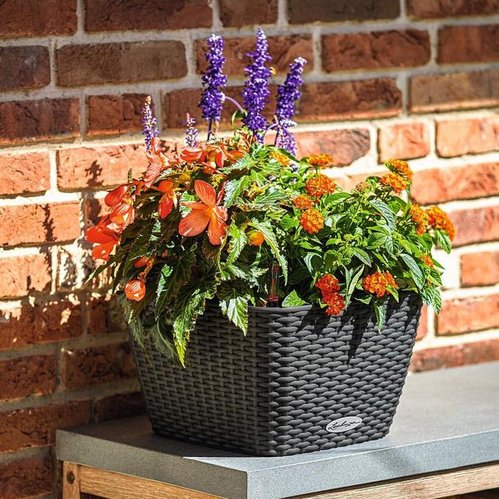 Produktbild Lechuza BACINO Cottage