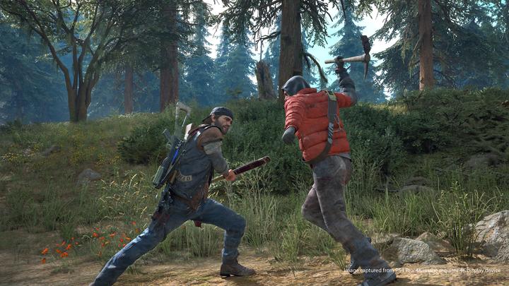 Actual product image Sony Days Gone (PS4, DE)
