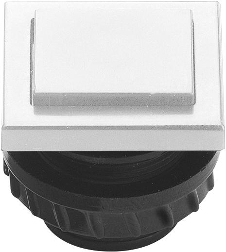 Actual product image Grothe bell push