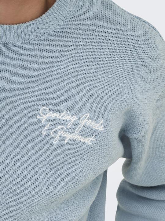 Produktbild Only & Sons ONSGABIR Pullover Strickpullover (L)