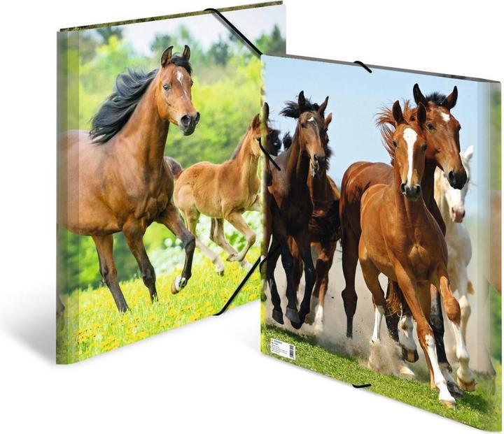 Produktbild HERMA Sammelmappe A3 Motiv (A3, 1x)